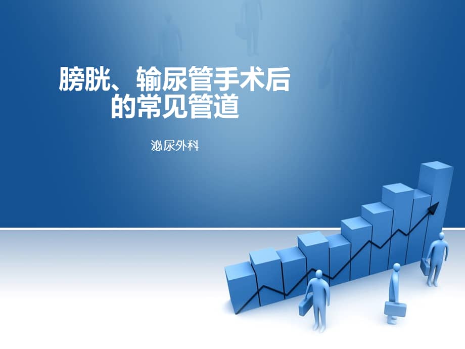 膀胱输尿管管道ppt课件ppt