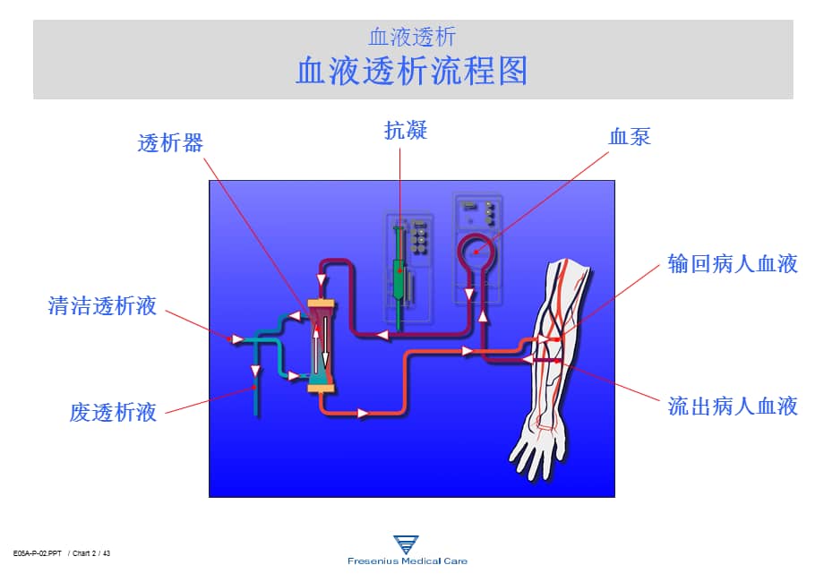 医学透析器知识专业知识宣讲ppt培训课件ppt