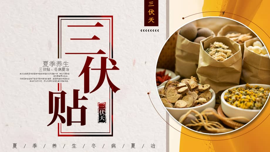 三伏天三伏贴介绍ppt模板.pptx_第1页