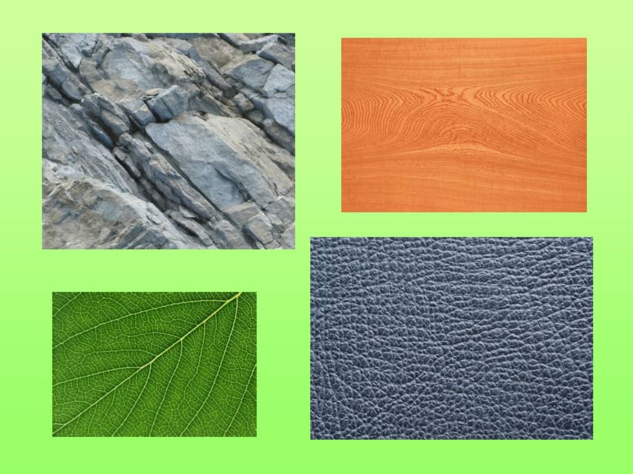 人教新课标三年级上册美术 9《天然的纹理》课件( (共10张ppt).